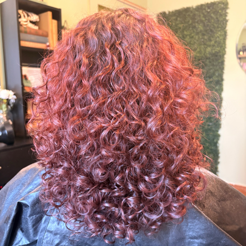 Curly Cut at Maxx Lee Studio in Staten Island, NY