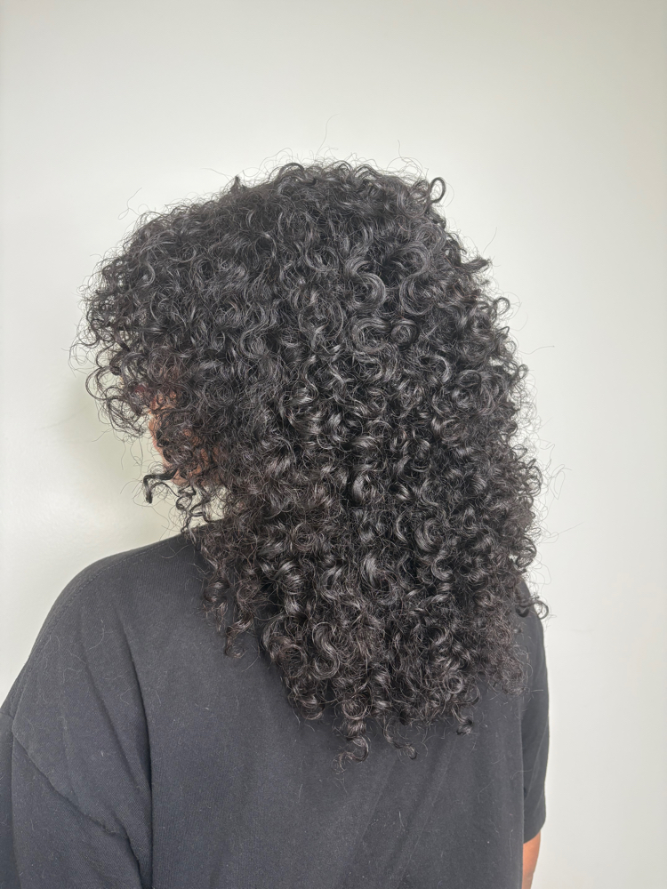 Curly Cut at Maxx Lee Studio in Staten Island, NY