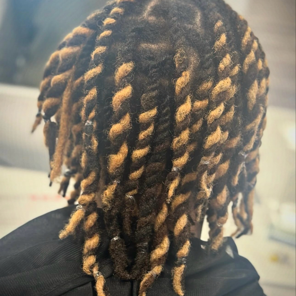 Braids Or Twists at Autonomy Salon And Wellness in Richmond, VA