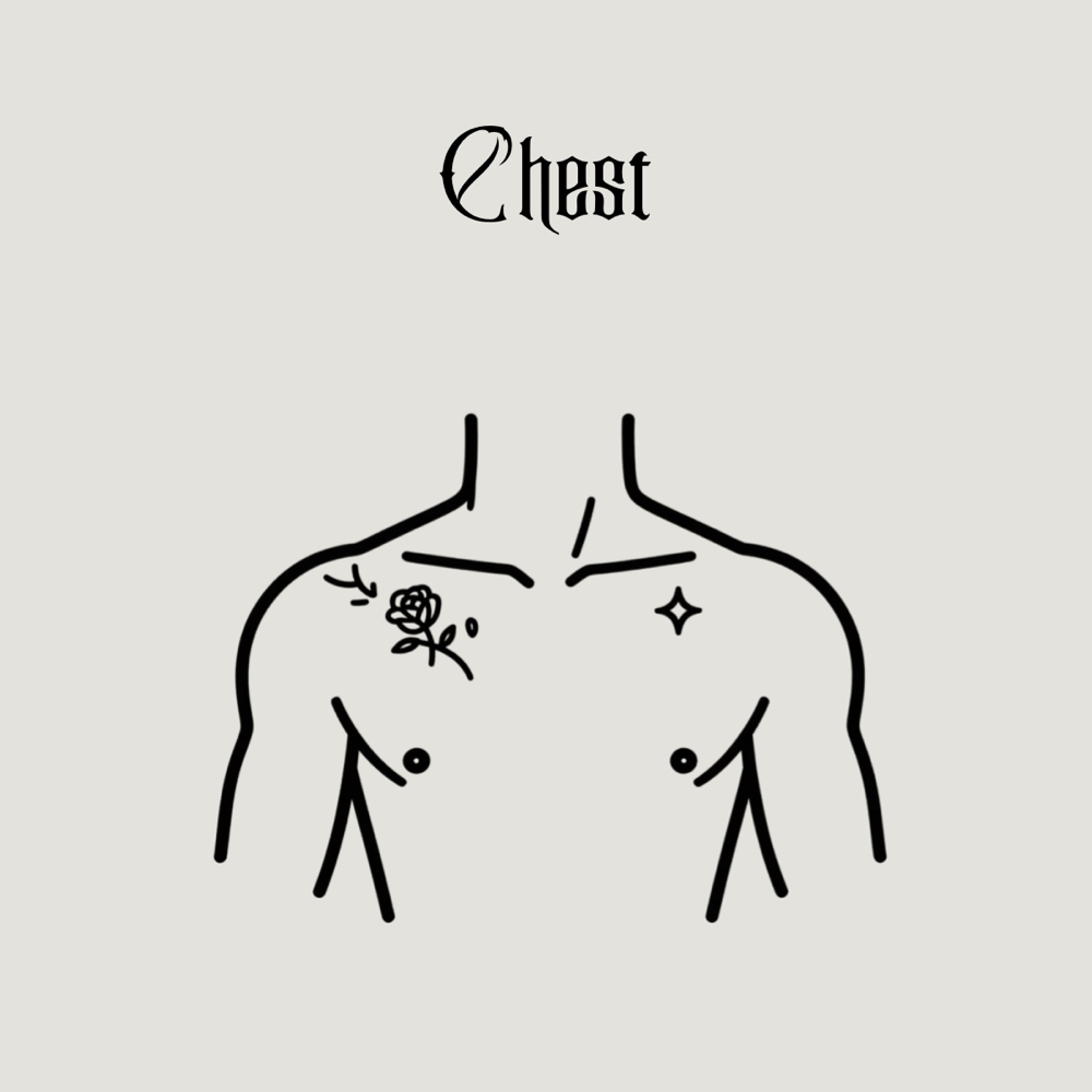 Chest at All Bodies in Santa Ana, CA
