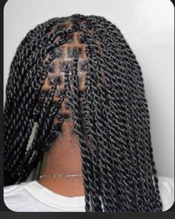 Knotless Twist (small) at Cute, Simple and Classy Beauty Lounge in Fairfield, CA