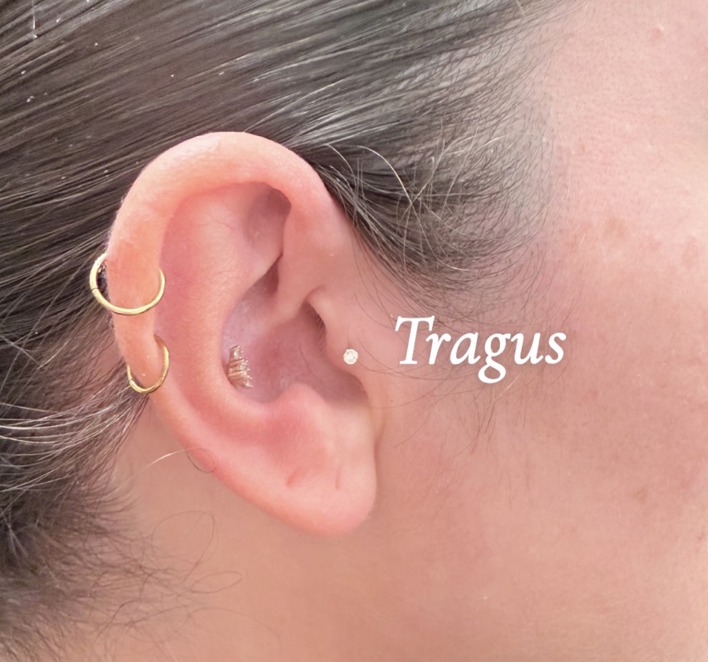 Tragus Piercing
