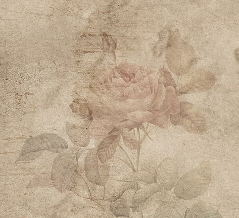 Permanent Makeup Consultation