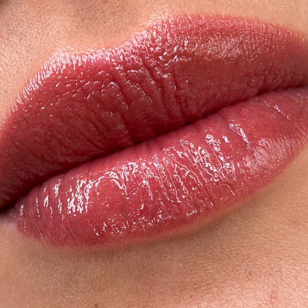 Lip Blush Consultation at Custom Brows & Glam Studio in Jupiter, FL