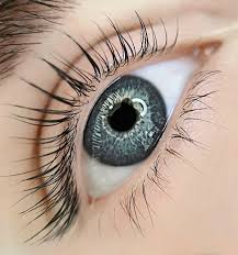Lash Lift And Tint