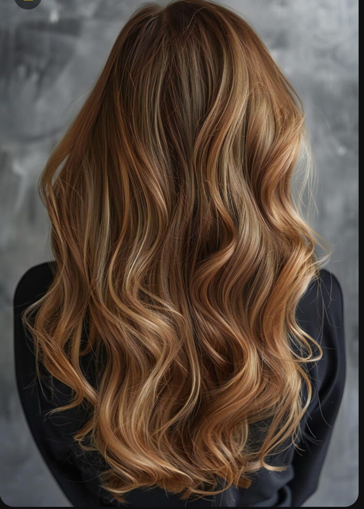 Balayage at The Faded Mane-Maria in Chester, VA