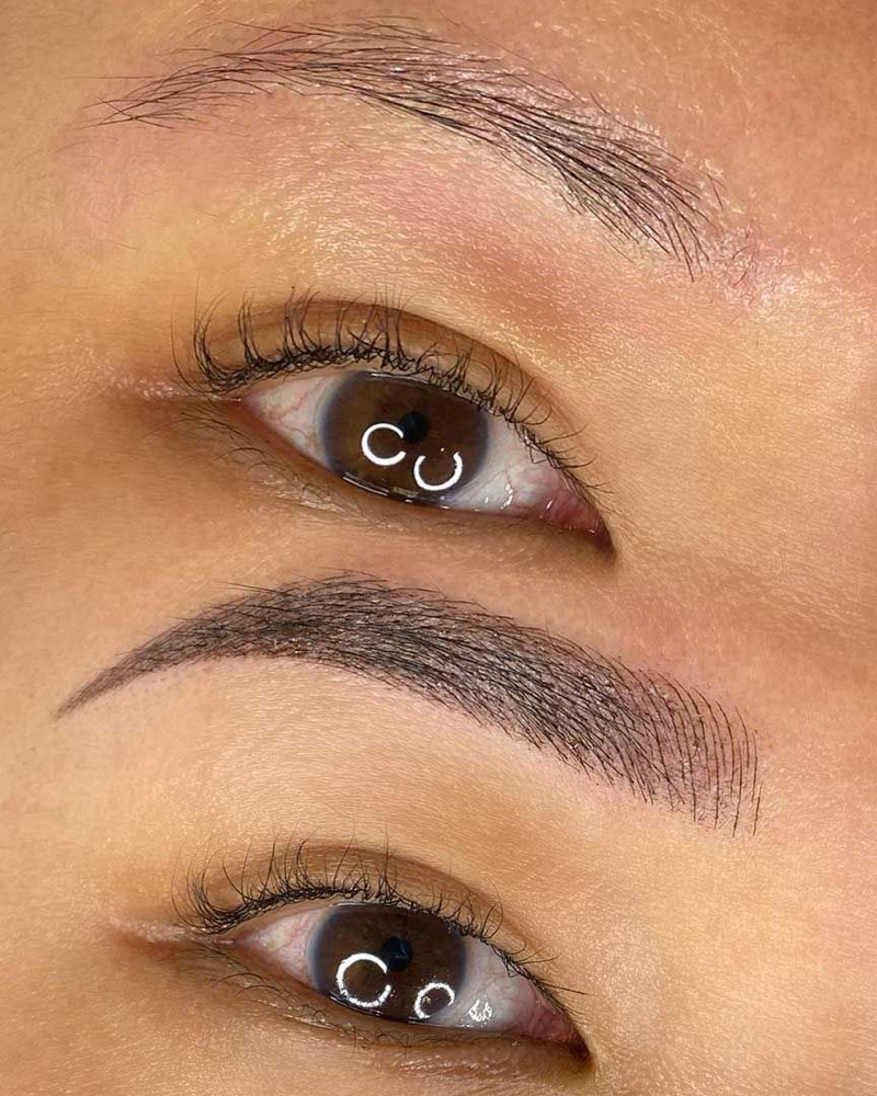 Eyebrow Microshading
