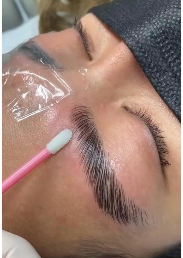 Eyebrow Lamination