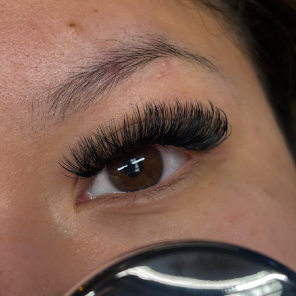 Volume Full Lash Set at Black Cactus Body Bar & Boutique in Mount Juliet, TN