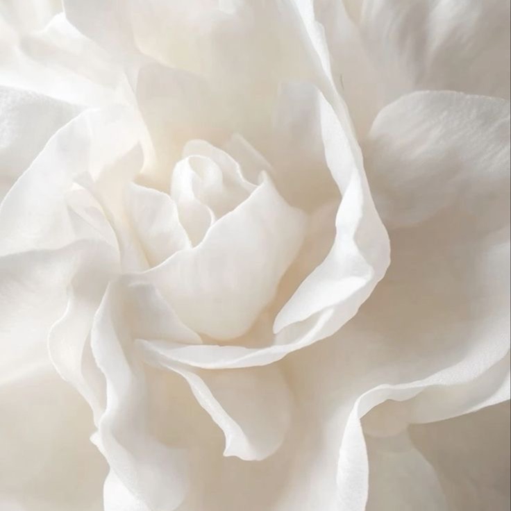 Skin & Soul Elevated - 90 Minutes at Skin & Soul Aesthetics in Turlock, CA