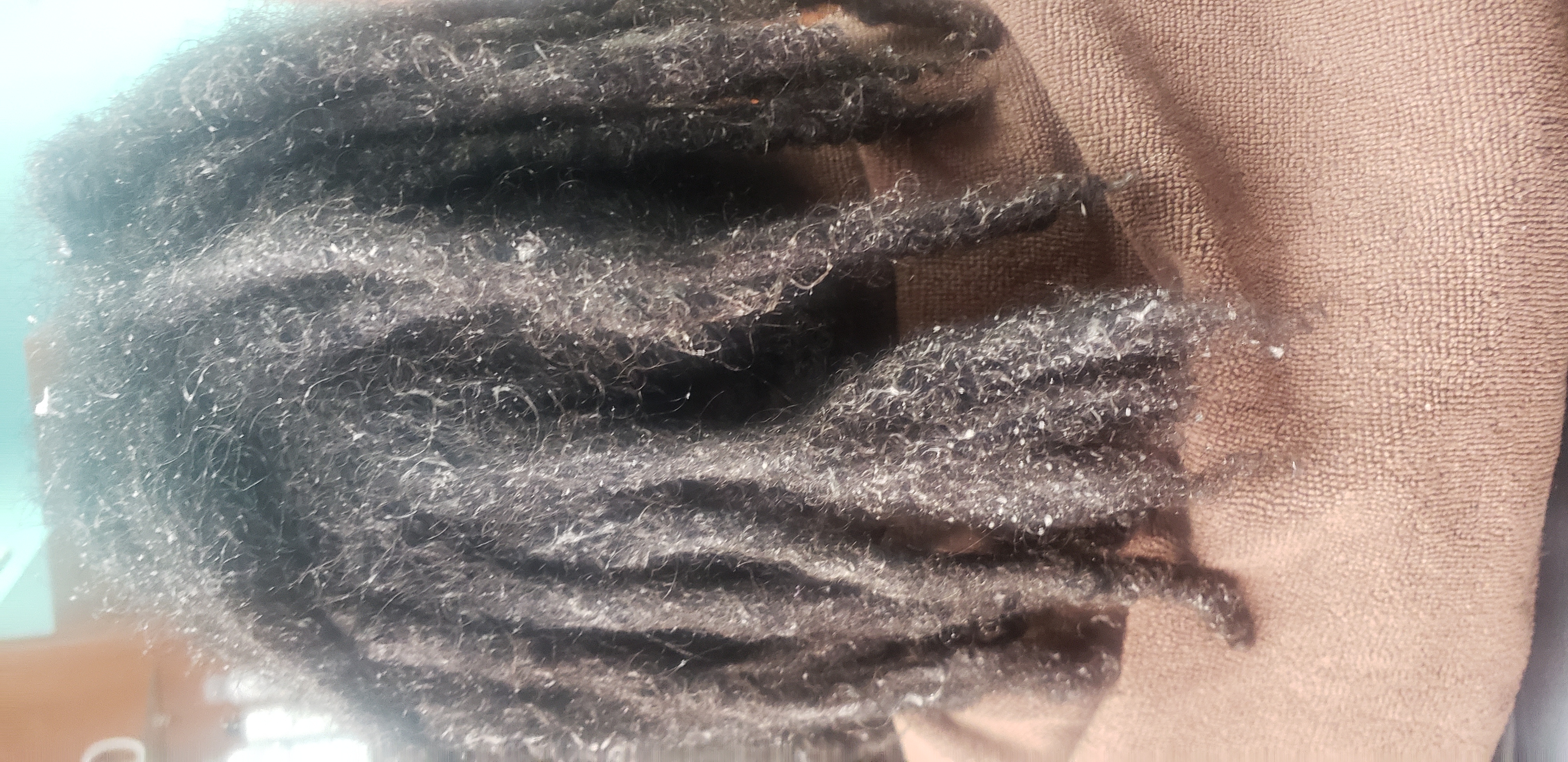 Comb Out (locs)