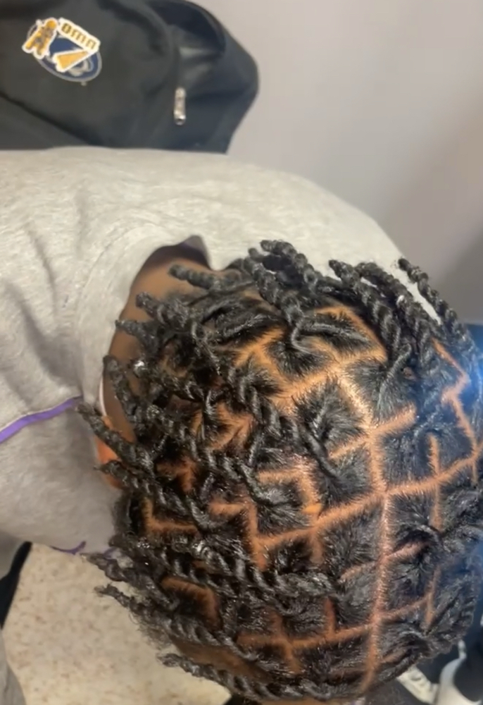 Starter Locs