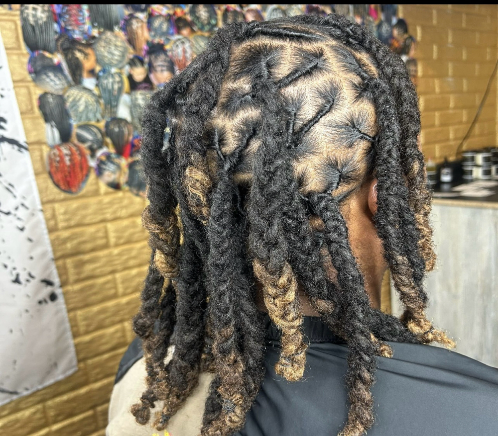 Step:2 Plaits On Locs
