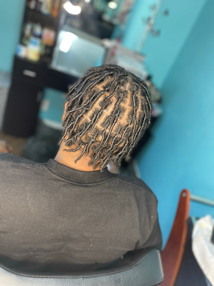 Starter Locs (no style) SHORT