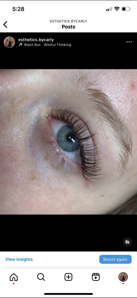 Classic Lash Extended Fill