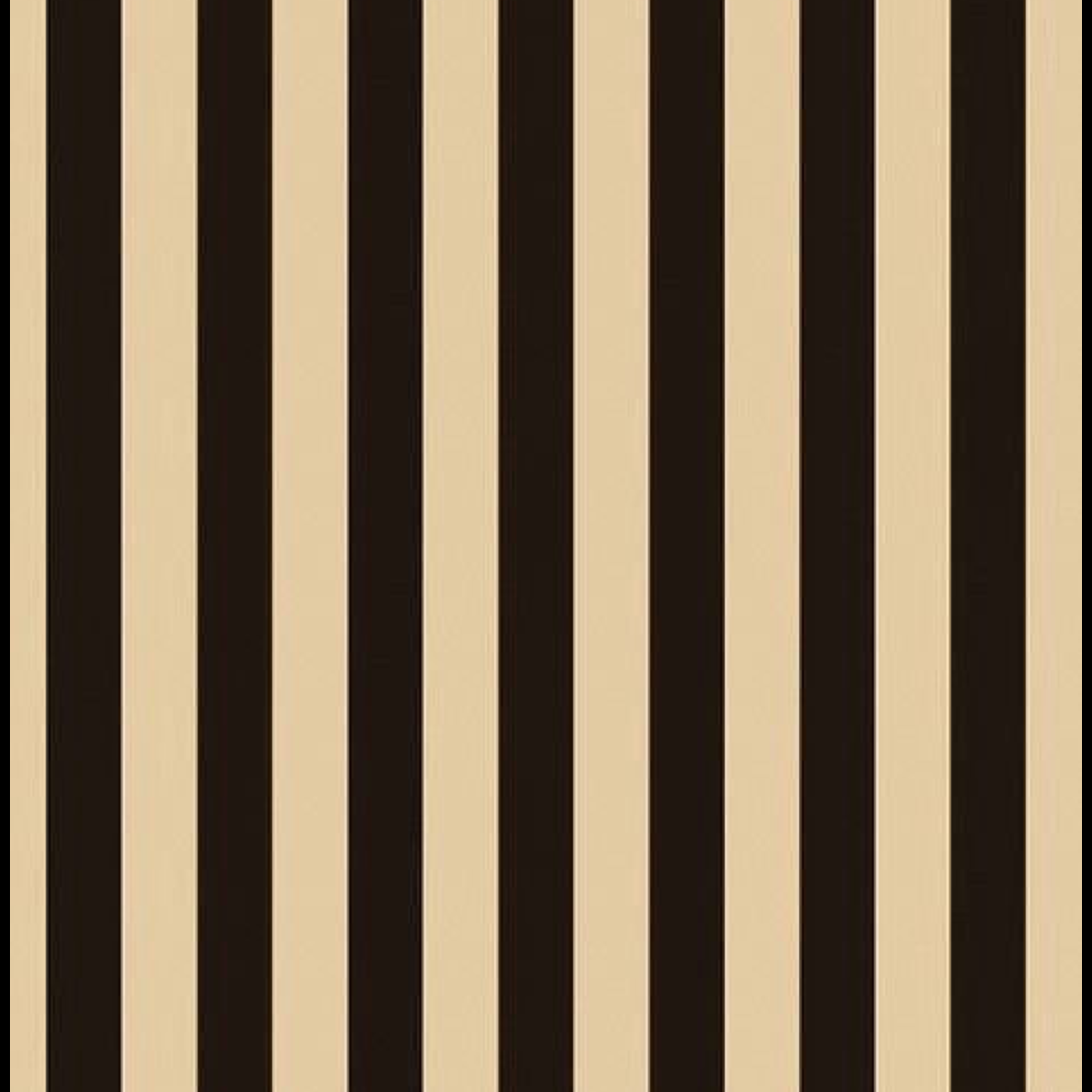 All over color at Halo Hair Studio in Walla Walla, WA