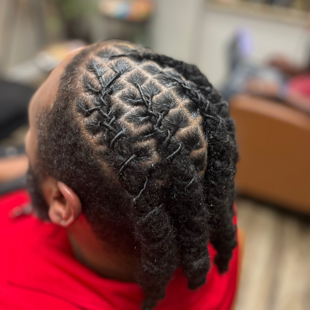 Loc Maintenance (half Head) at Alchemy of Locs LLC in Humble, TX