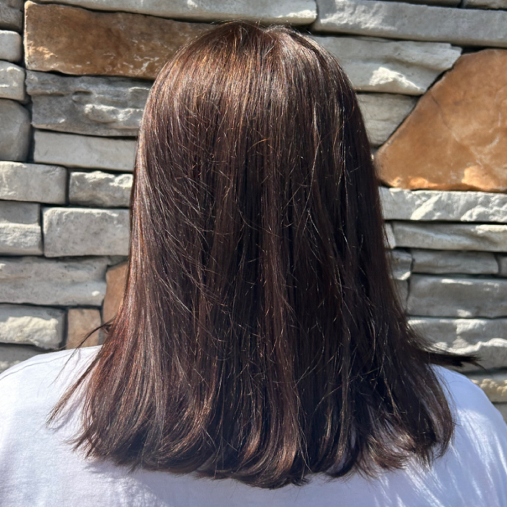 Basic Color at Haley DeWees at Bella Roots Salon in Spring Hill, TN