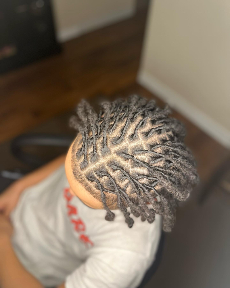 Starter Locs (small)