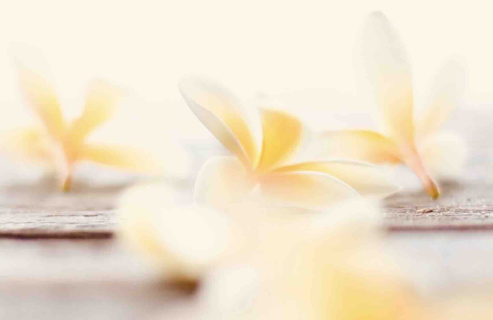 Wet Cut/ Dry Cut Only No Style