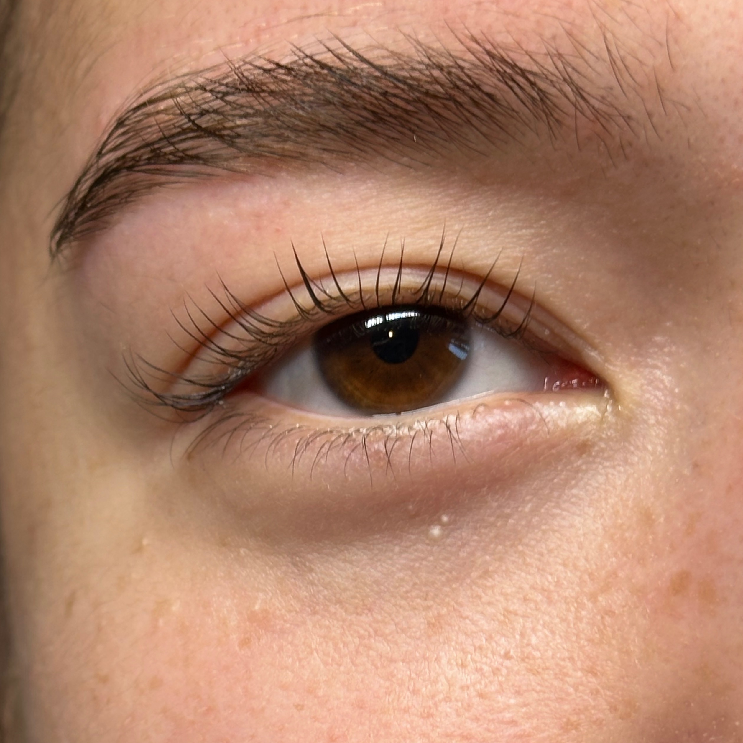 Lash Lift with Tint