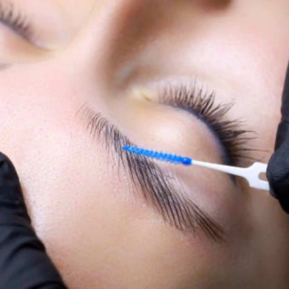 Brow Lami + Tint & Wax at Bloom Beauty Esthetics in Salt Lake City, UT