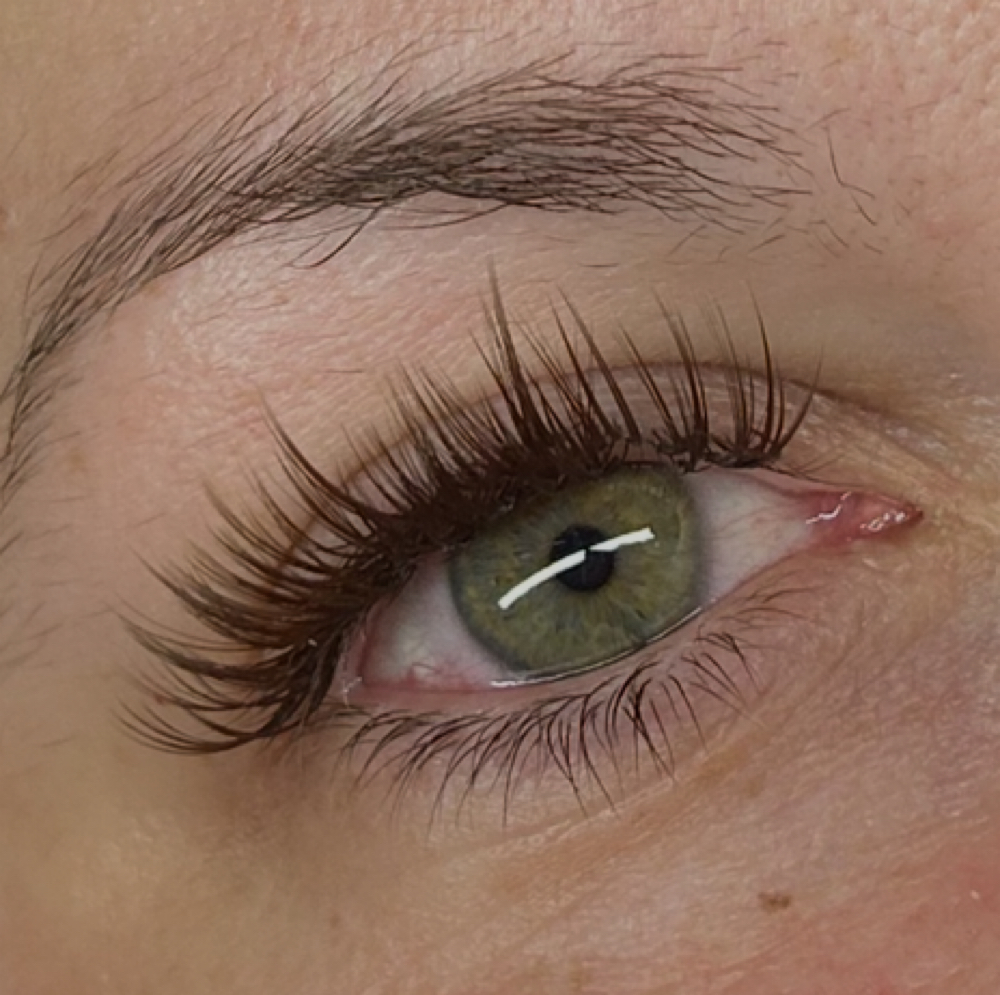 Brown Lash Full Set at EstheticsByTaegan in Searcy, AR