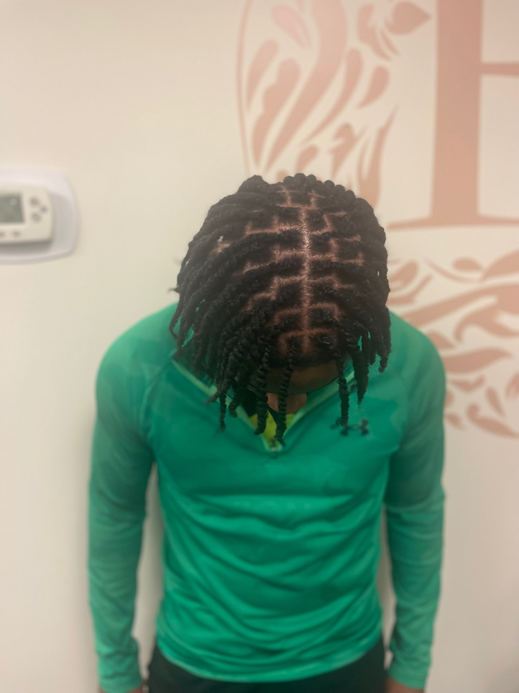Starter locs (braid twist) Short