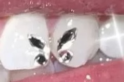 Swarovski two tooth butterfly