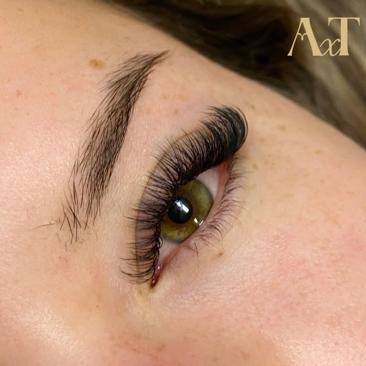 hybrid lashes