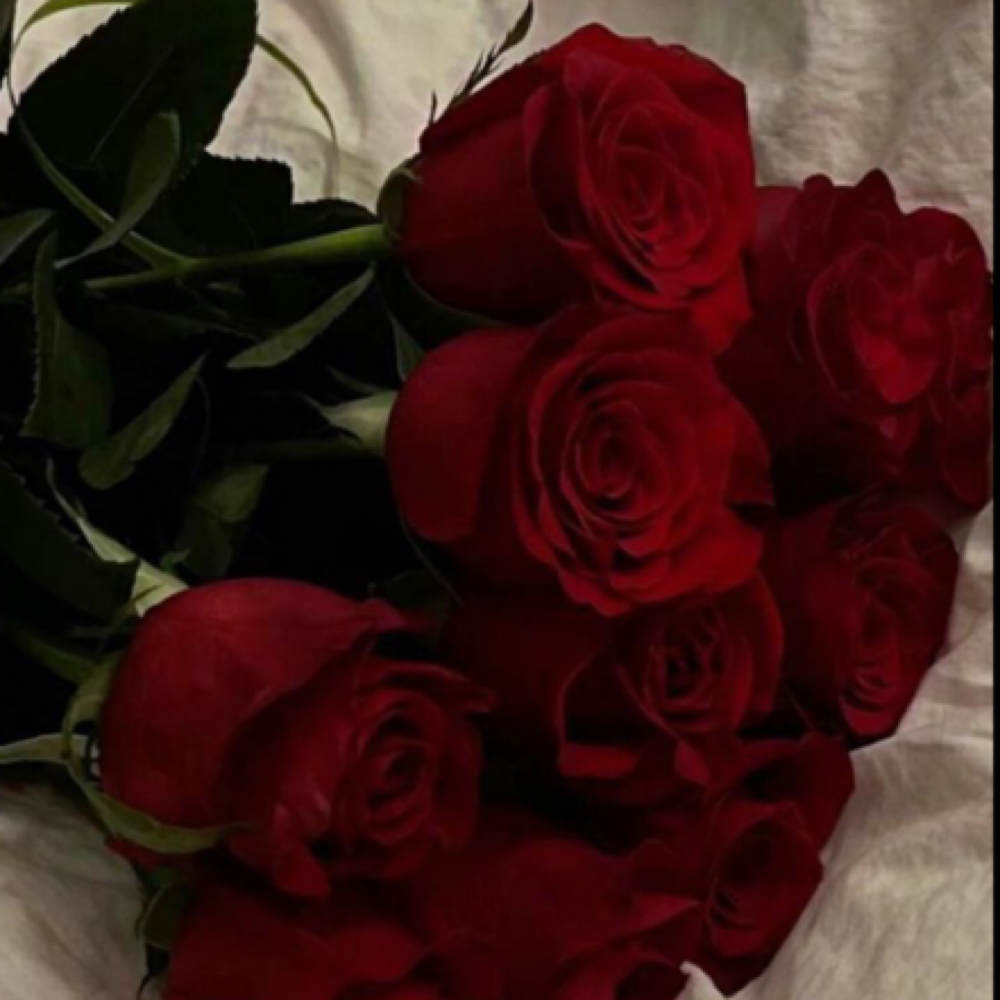 ❤️‍🔥Wispy Volume Set ❤️‍🔥