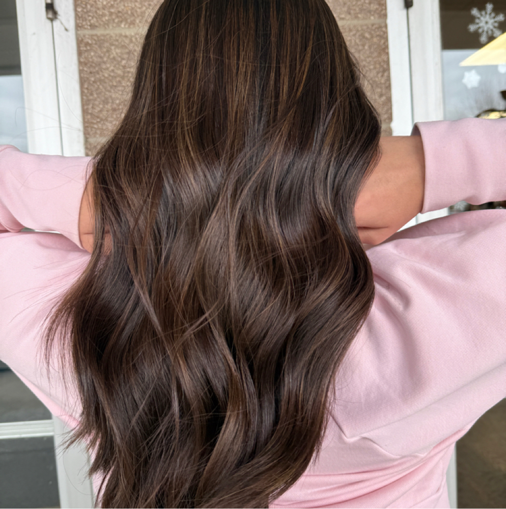 All over color at The Refinery Salon in Brownstown, MI