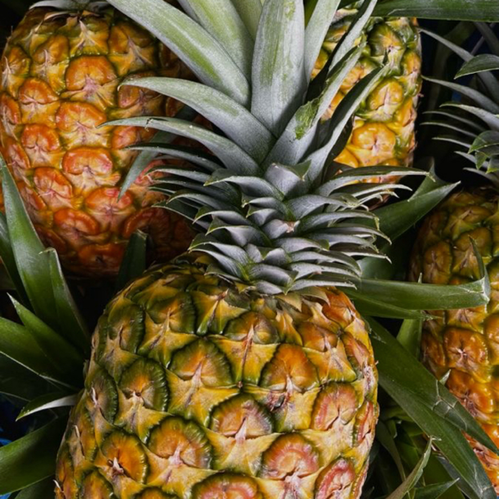 Pineapple Paradise Facial 🍍🏝️ at Wisteria Beauty in Indianapolis, IN