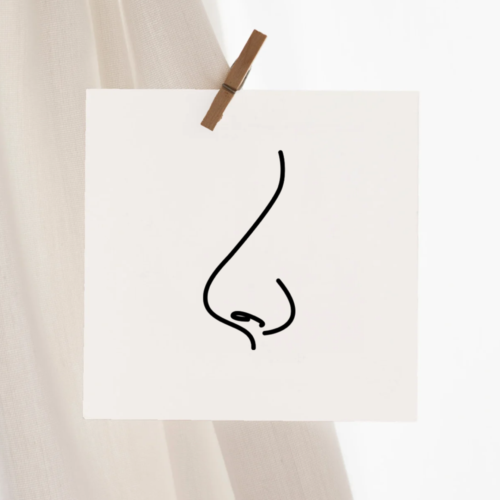 Nose