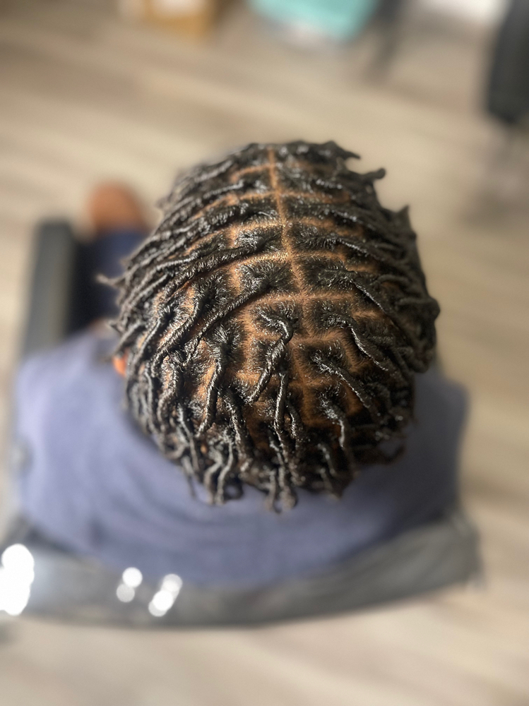 Starter Locs