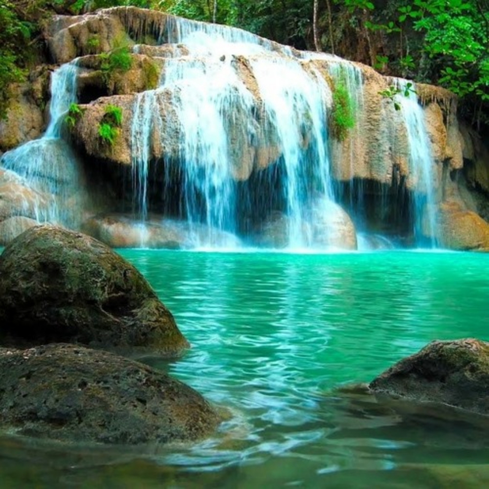 The Enrichment at A Touch of Enrichment in Bastrop, LA