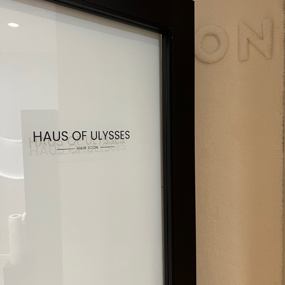 Blonding Experience at HAUS OF ULYSSES in Long Beach, CA