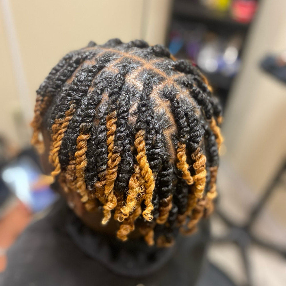 Two Strand Twist at Roots To Ends in Columbus, OH