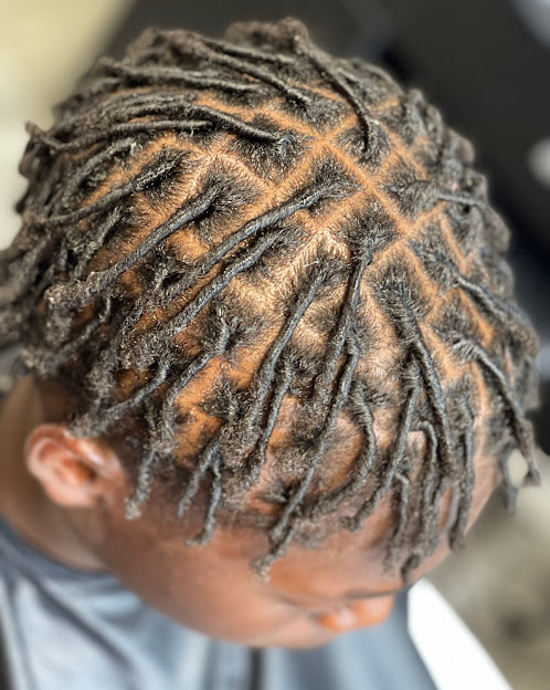Starter Locs (ears)