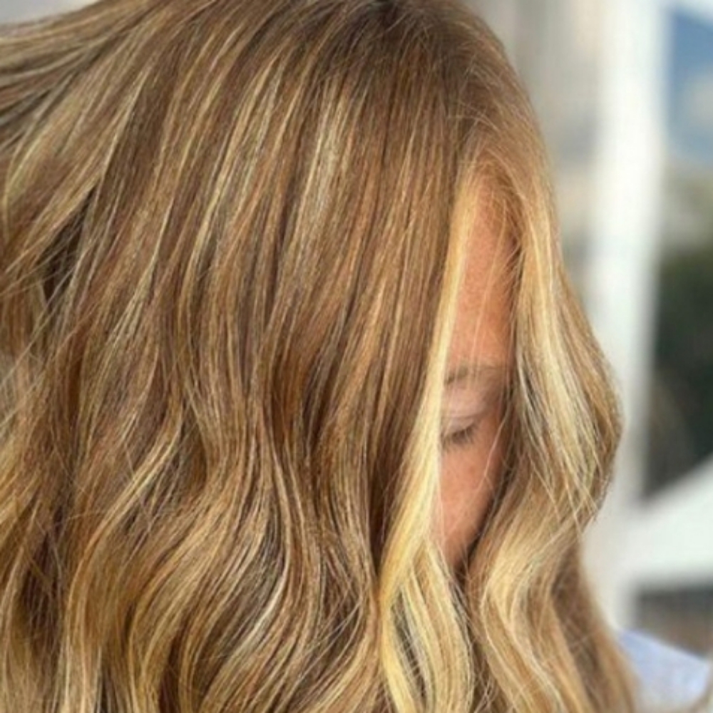 Partial Highlight And Haircut at Lusso Hair Studio and Spa in Winston Salem, NC