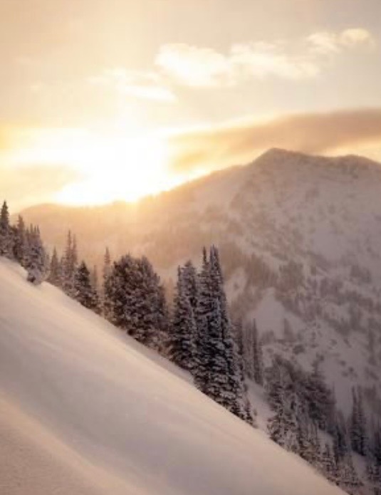 Apricity Facial (Sensitive Skin)