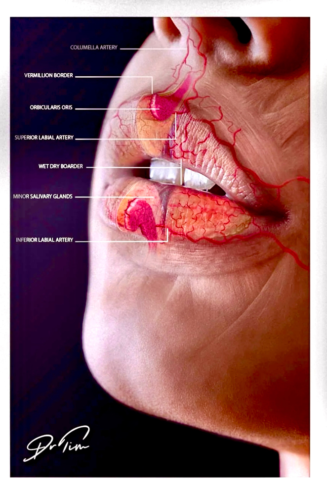 Hyaluronic Acid Lip Injections at Gretchen Caldwell NP Integrative Aesthetic Wellness in Springfield, IL