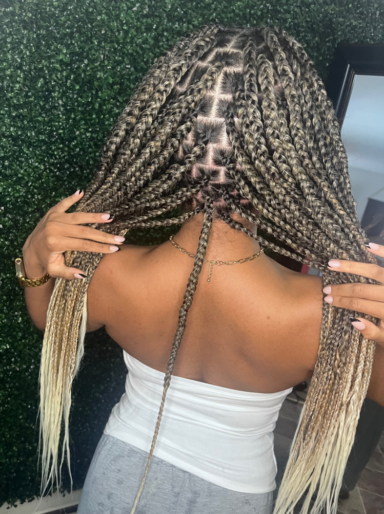 Knotless/Box/Singles/Twists