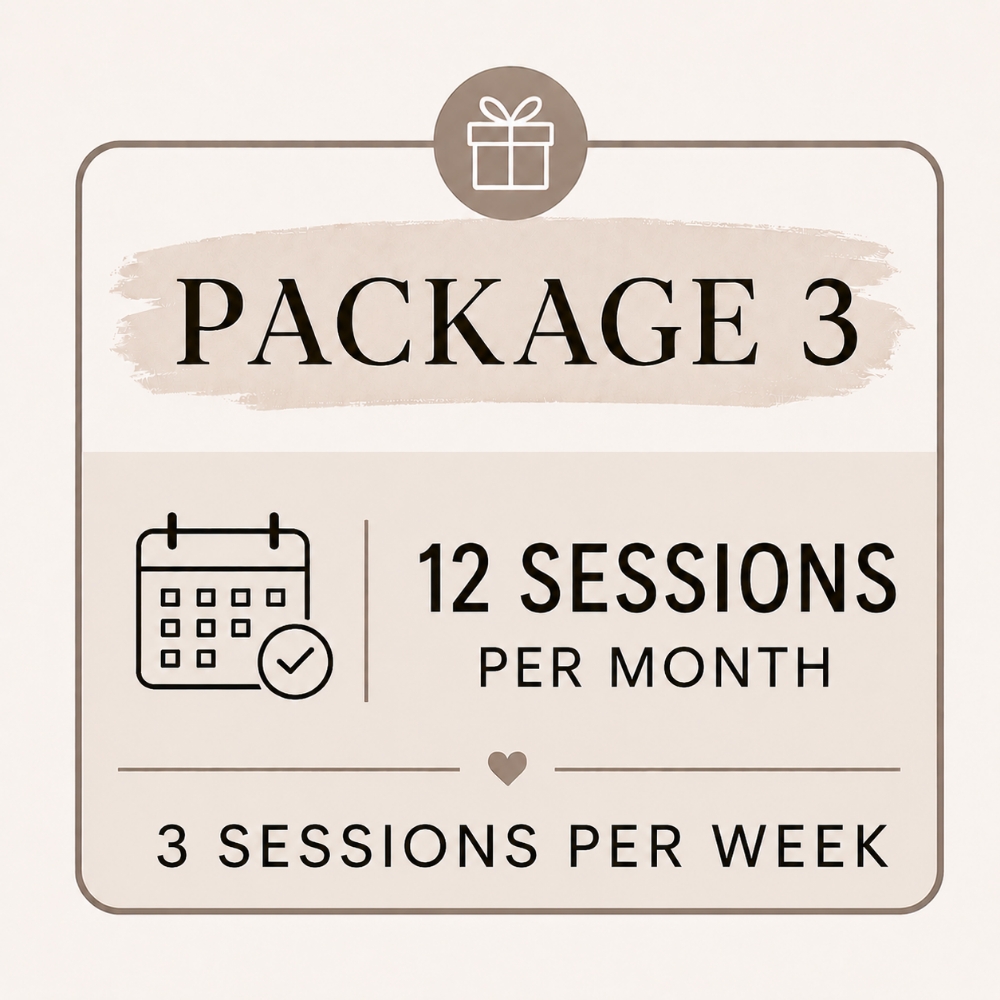 Package 3 (12 sessions)3x weekly at On The Go Boxing in Nashville, TN