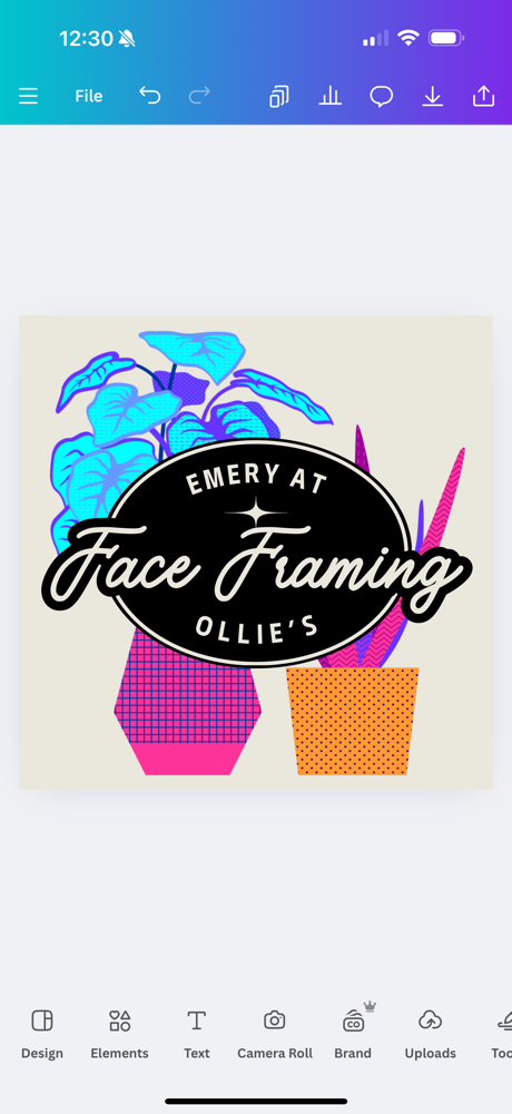 Face Framing Foil