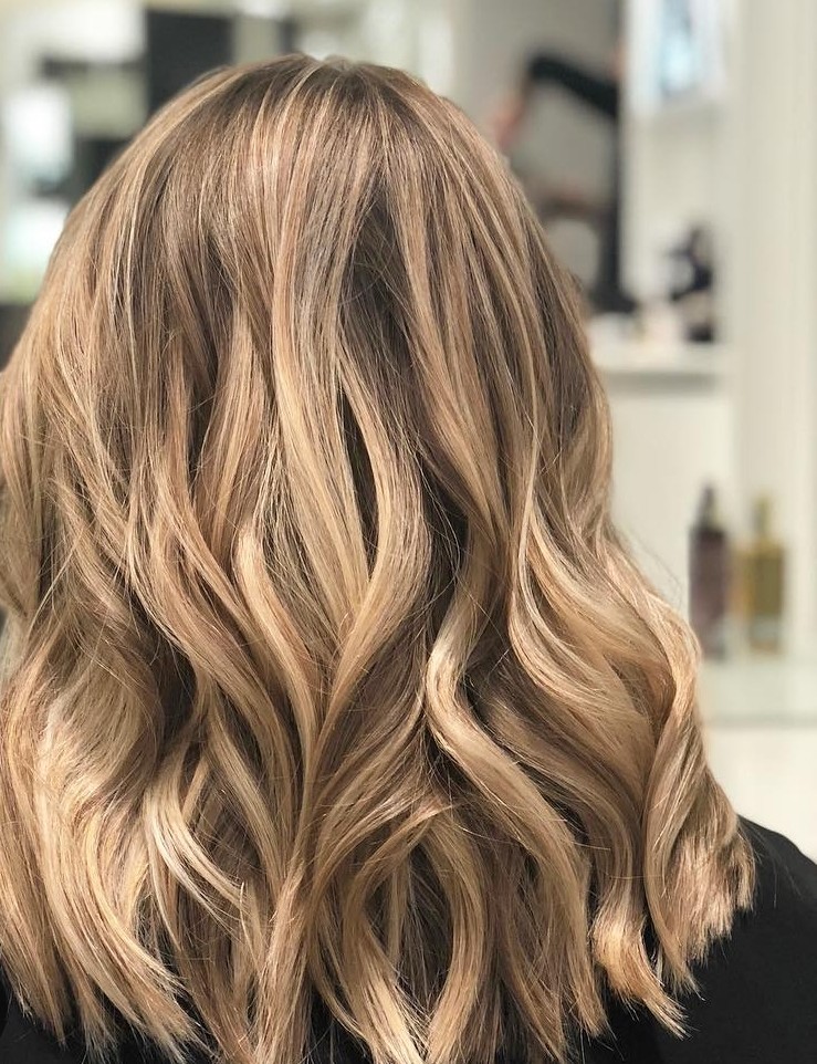 Haircut And Shampoo NO Blowdry