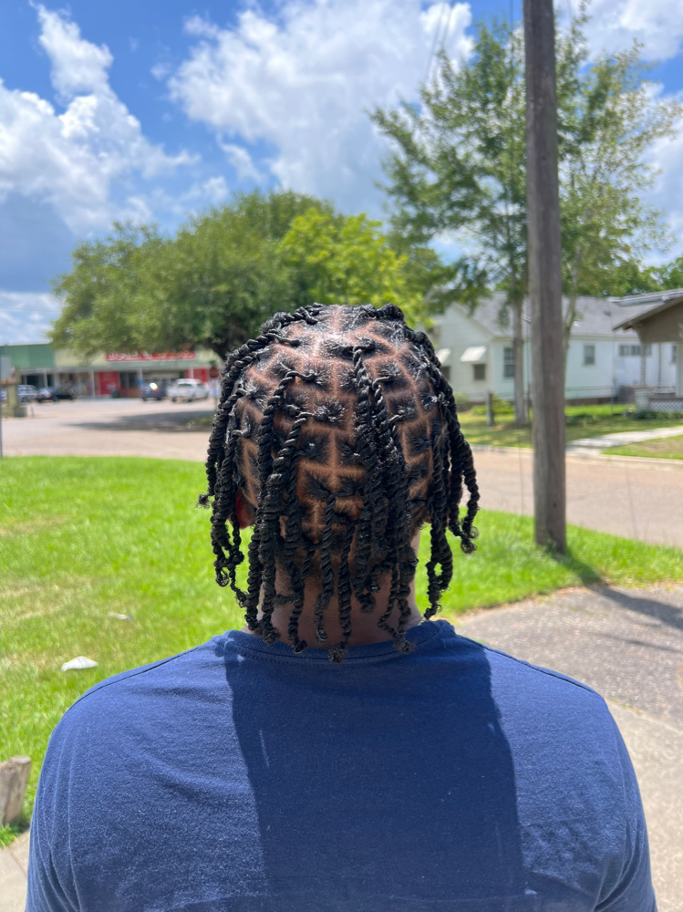 2 Strand Twist (Natural Hair )