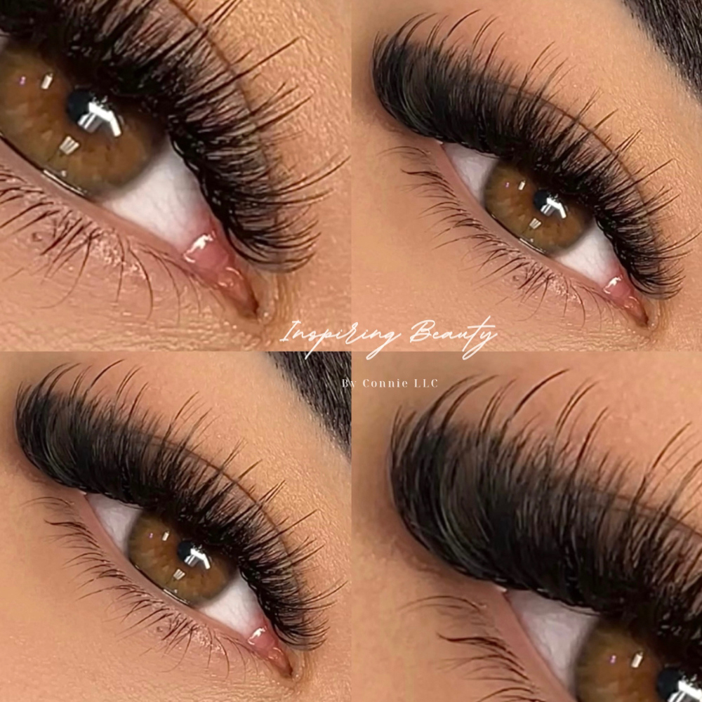 Volume Lashes