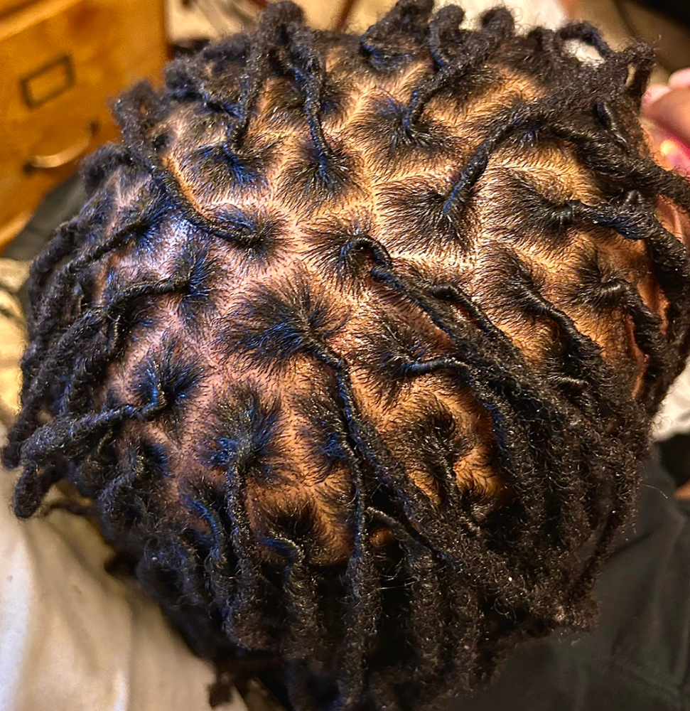 Loc Retwist