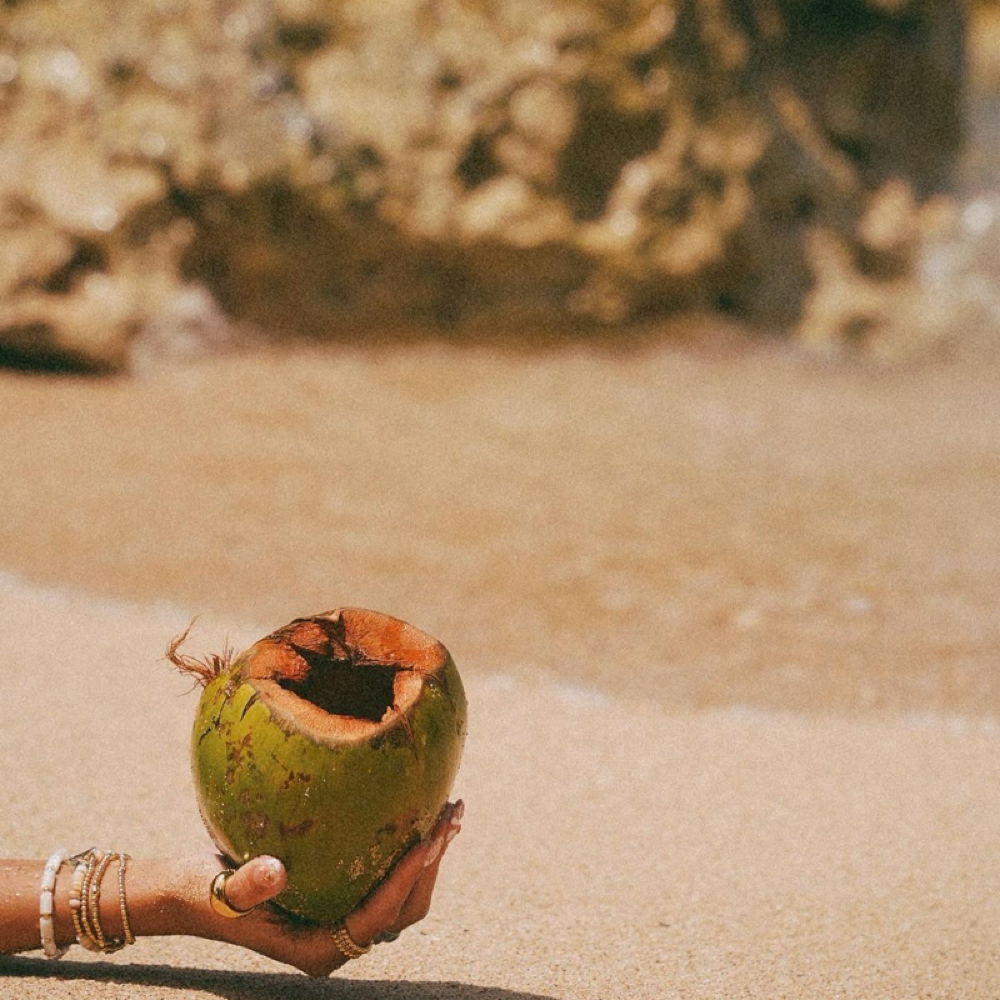 Root Touch Up & Full Highlight at Mane Evolution Hair in South Pasadena, FL